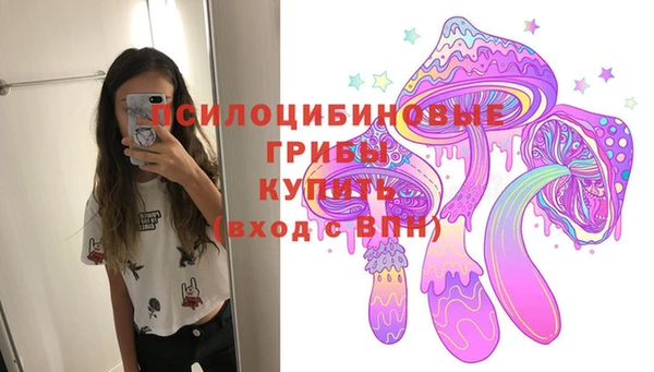 гашик Магадан