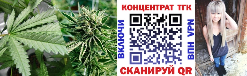 Купить закладки  Нефтегорск  ТГК жижа 